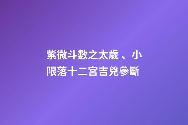 紫微斗數之太歲、小限落十二宮吉兇參斷